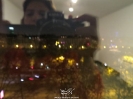 نمایشگاه عکس هایم در پاریس